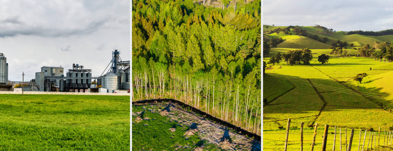 impala Systemic Herbicide for Invasive Plants