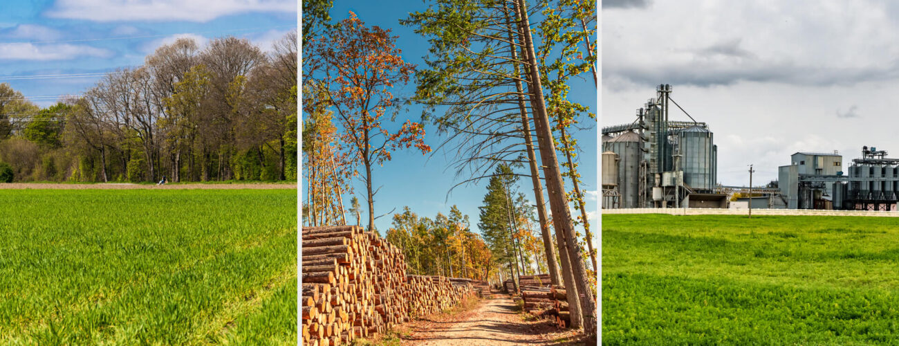 kilo 500 Non-Selective Granular Herbicide