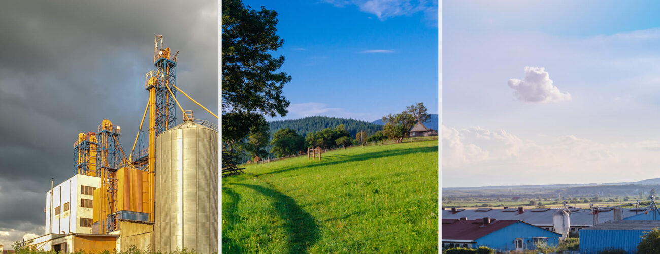 limpopo 200 GG - Long-Lasting Granular Herbicide