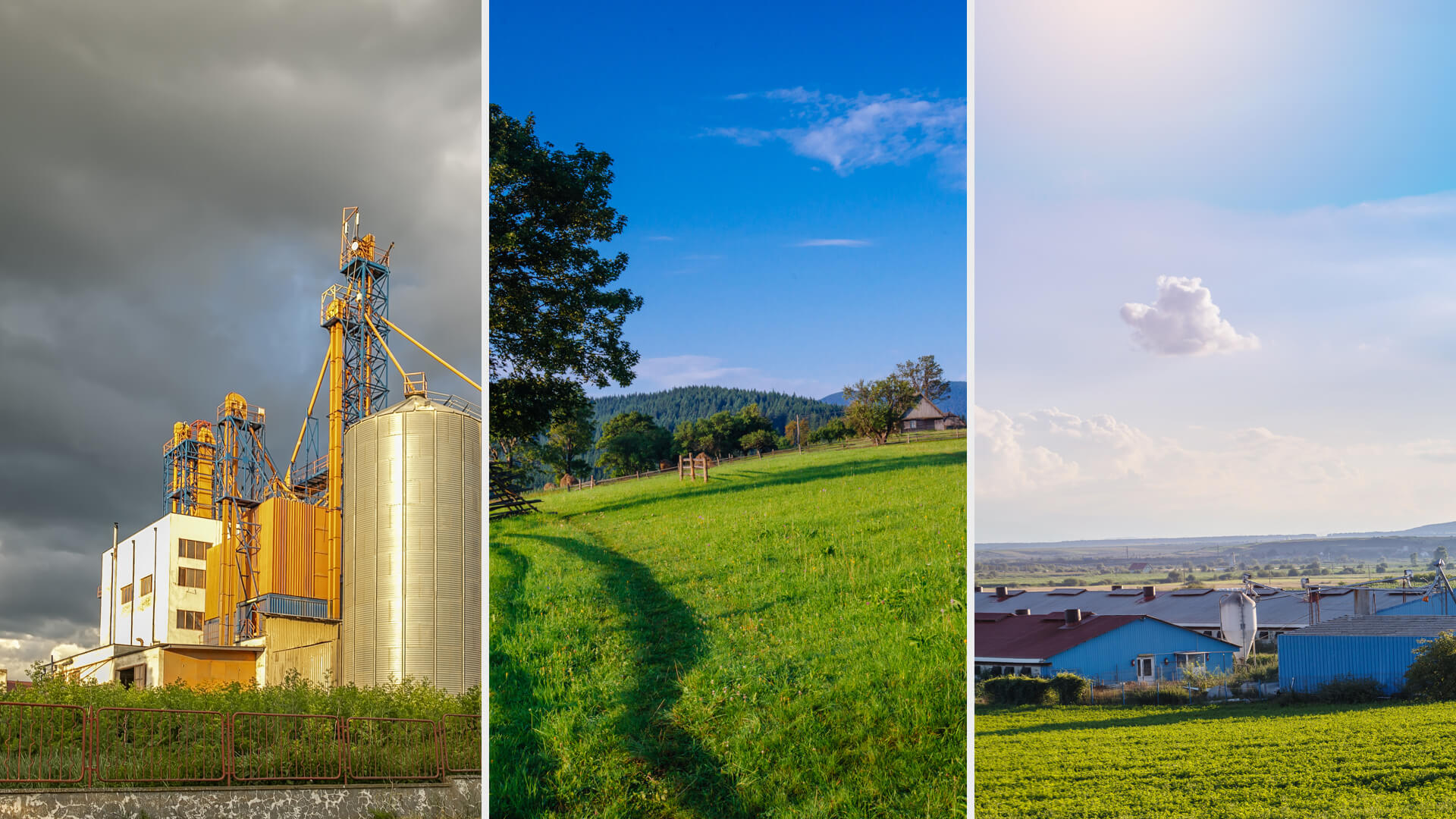 limpopo 500 sc Long-Lasting Suspension Concentrate Herbicide