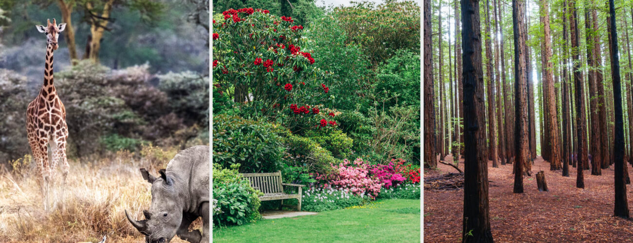 lumberjack 360 sl Systemic Herbicide for Grass Pastures