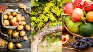 scuba Contact Herbicide for Aquatic Weeds