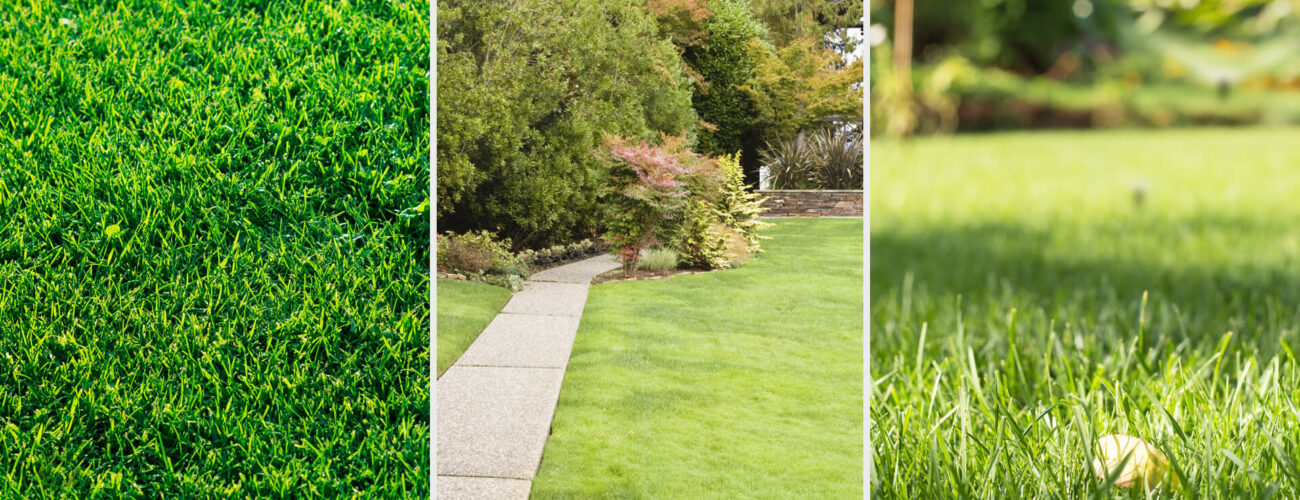 versus Selective Herbicide for Broadleaf Weeds