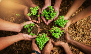 Group of people holding plants growing out of soil, representing the role of adjuvants in agriculture in promoting healthy plant growth.