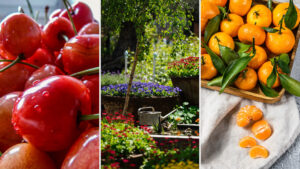 silhouette - surfactant for agricultural chemicals