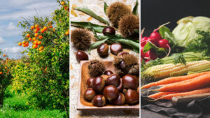 sprayfilm 10 Non-ionic sticker and spreader