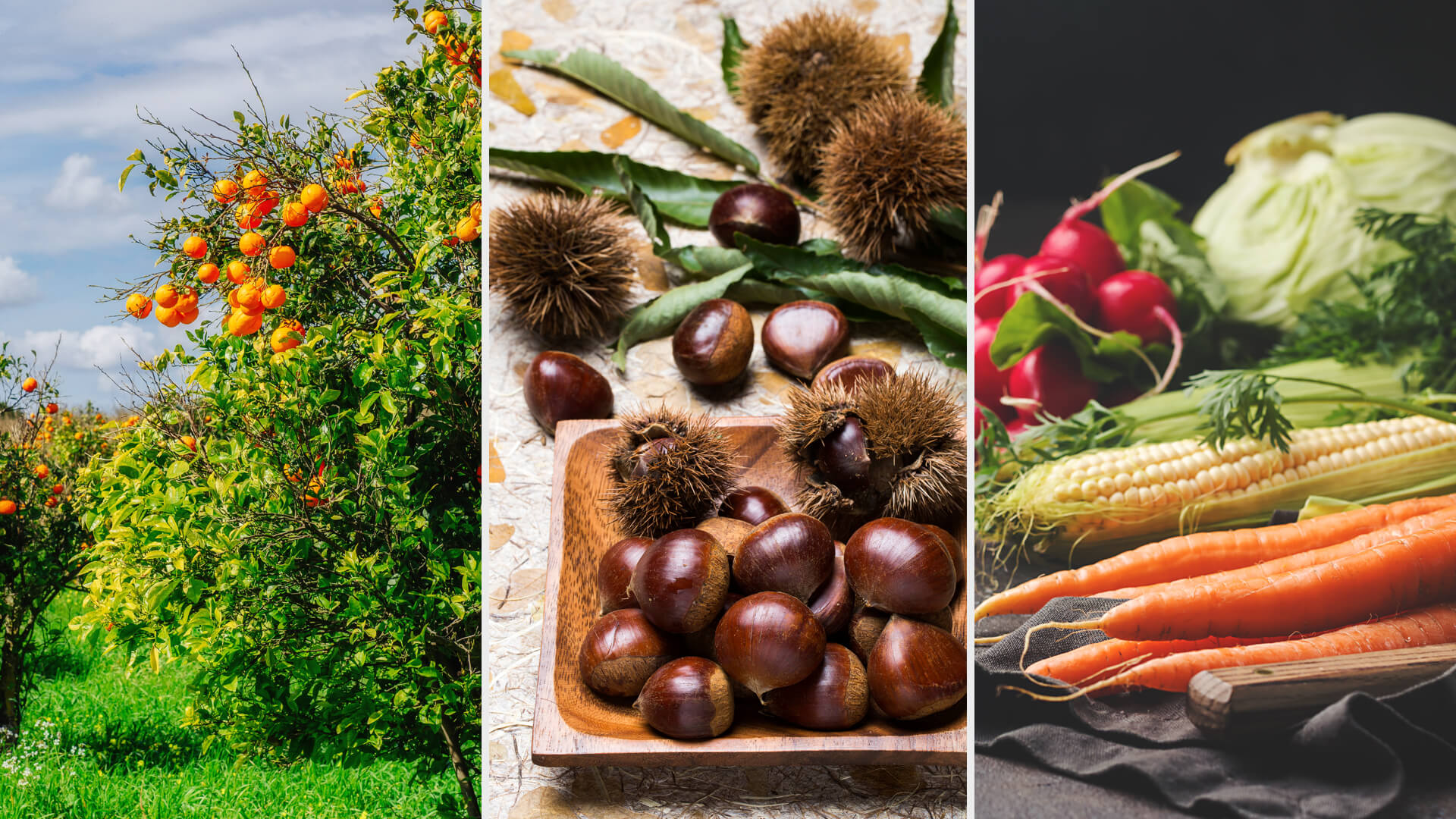 sprayfilm 10 Non-ionic sticker and spreader