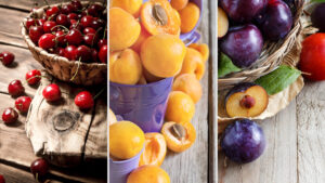 wet all 900 sl - Wetting and Sticking Adjuvant