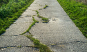 cracked side walks