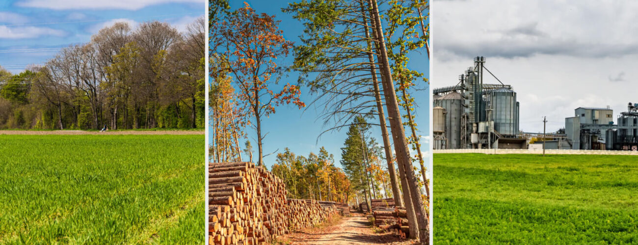 Kilo 500 WSG Cost Benefit Analysis