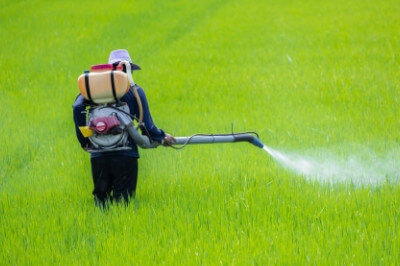 spraying herbicides