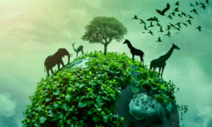 ecological preservation