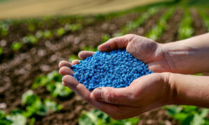 fertilizers