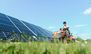 mowing by solar panels