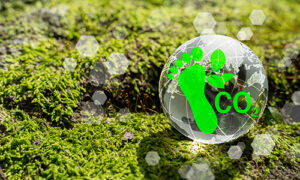 reduced carbon footprint